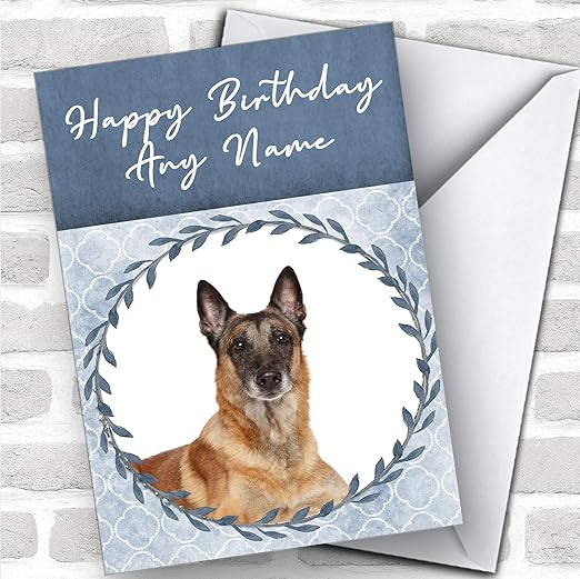 Carte D Anniversaire Motif Berger Belge Malinois Bleu Amazon Fr Fournitures De Bureau