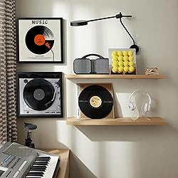 ccdcc 12.6x12.6 Vinyl Record Frame 1 Pack, Black