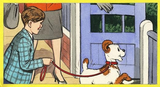 paddy paws the puppy