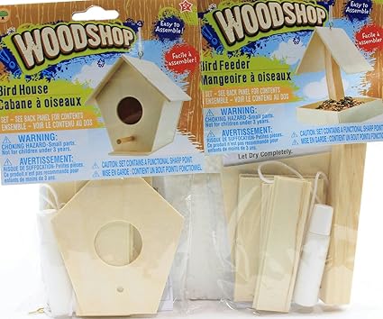 Amazon Com Set Of 2 Kids Diy Woodshop Bird House And Bird Feeder