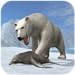 Arctic Polar Bear