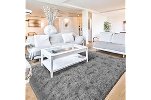 Terrug Fluffy Large Area Rugs for Living Room Bedroom, Grey 4x6 Rug Washable Shag Carpet, Super Soft Fuzzy Plush Non-Slip Cute Modern Kids Rug for Nursery College Dorm Classroom Kids Room Home Decor