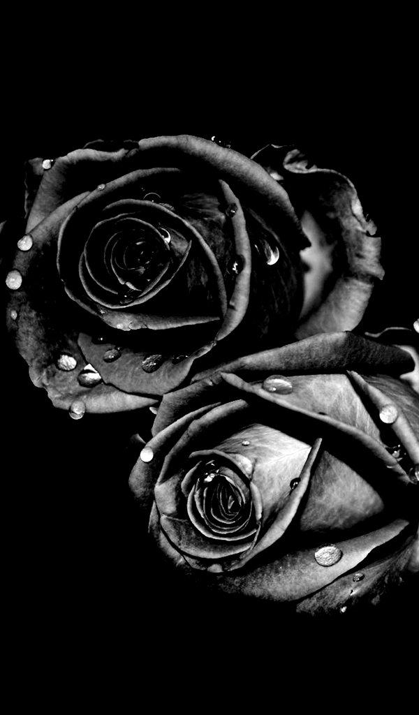 Black Flower for Android