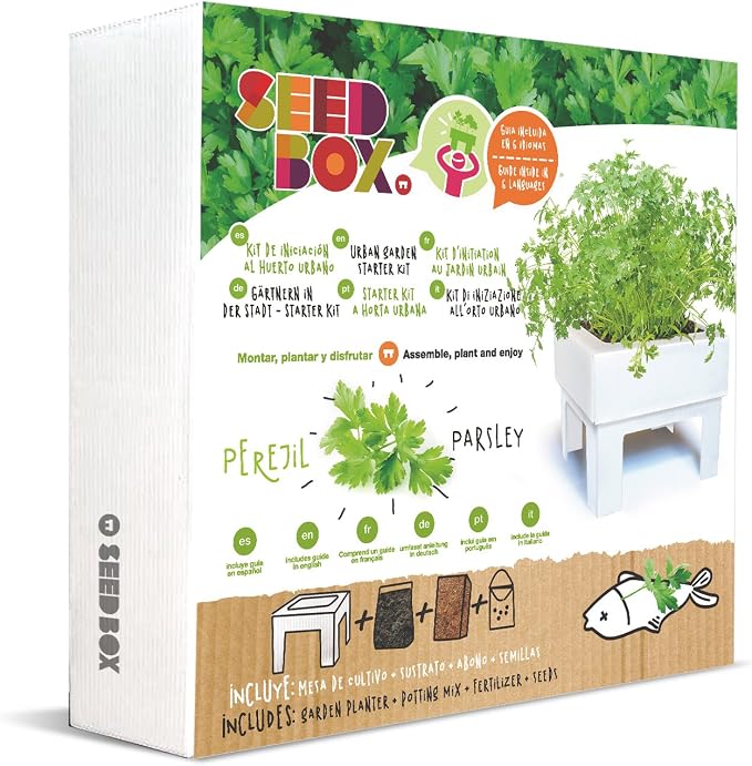 SeedBox SBMCUHB Huerto Urbano Cultívame Mini - Hierba Buena ...