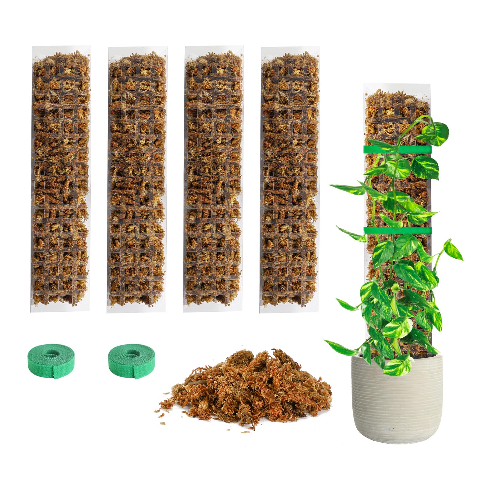 Photo 1 of Bonviee 4-Pack 15-Inch Plastic Moss Poles for Monstera & Climbing Plants - Stackable to 60 Inches, Includes Sphagnum Moss & Garden Ties for Indoor Plant Support
