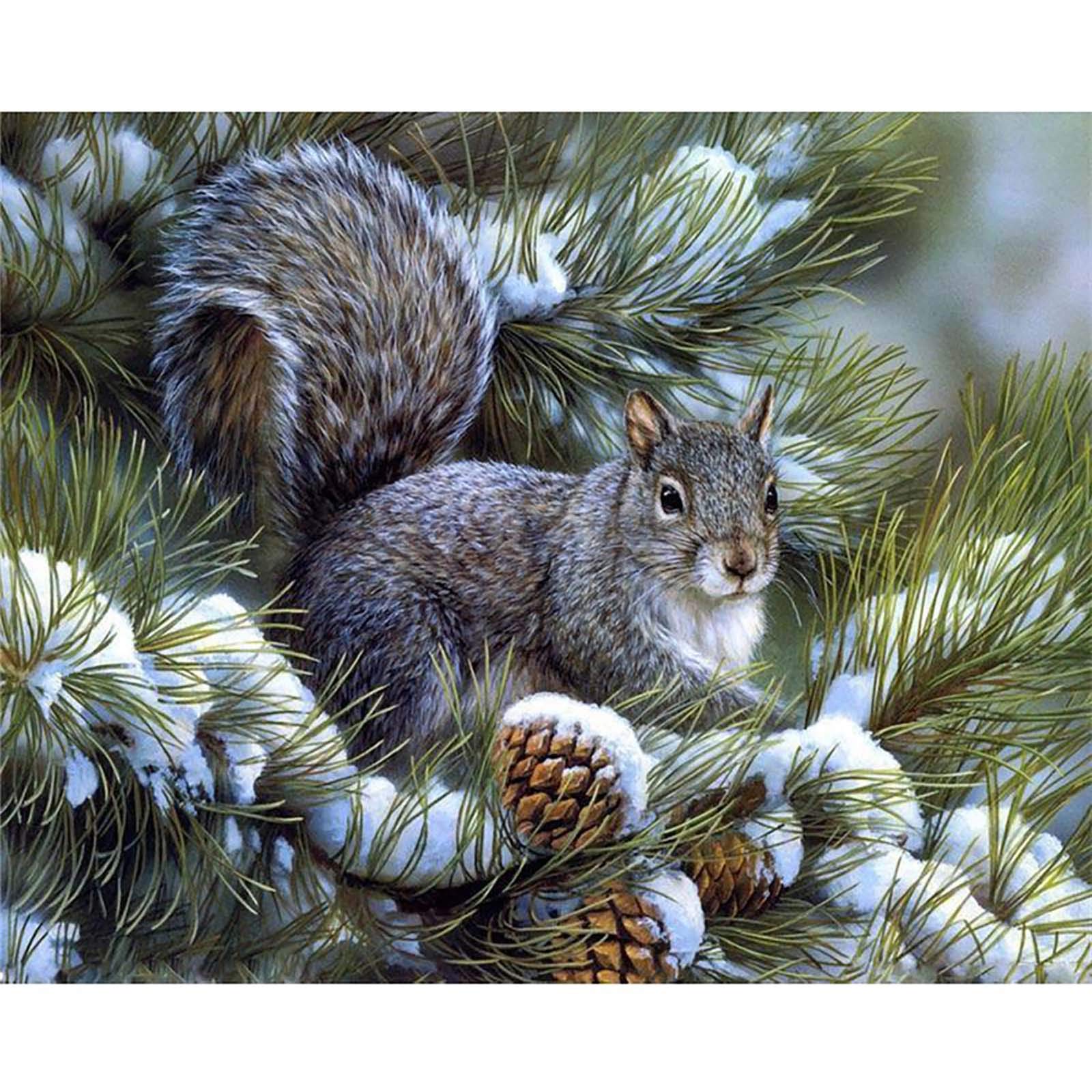 Zeyevan 5D Diamond Painting Kits for Adults Squirrel Animal, DIY Diamond Art Kits Winter Snow Round Rhinestone Cross Stitch Embroidery for Bedroom Living Room Office 12x16inch