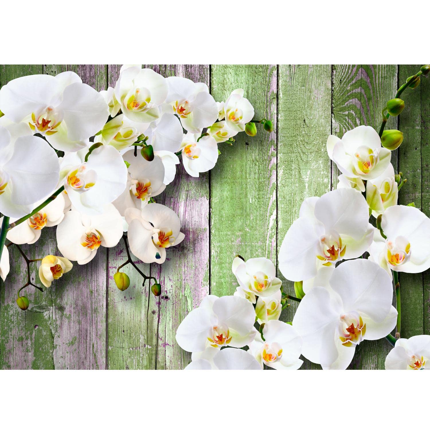 Runa Art Photo Wallpaper 3D Orchid Wood 352 x 250 cm Non-Woven Wall Art XXL Moderne Living Room Bedroom White 9057011c