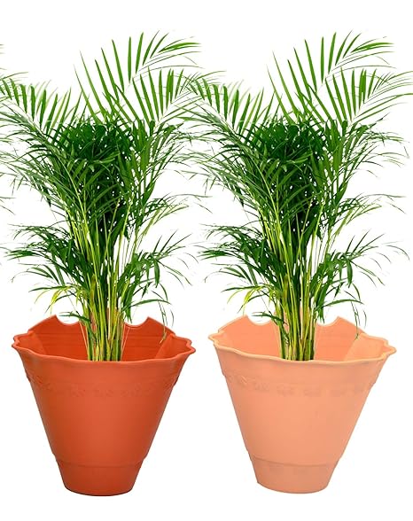 Shelzi 2 pcs Wall Hanging Flowers Pot Basket Multicolor Natural Looking for Home & Garden Decor