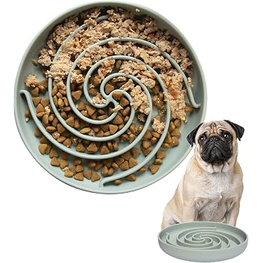 Amazon Best Sellers: Best Dog Slow Feeders