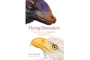 Flying Dinosaurs: How Fearsome Reptiles Became Birds