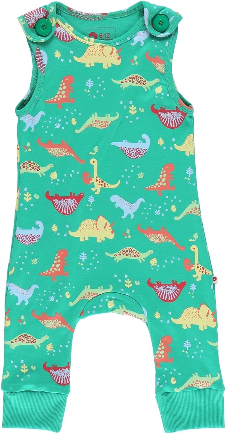baby dinosaur dungarees