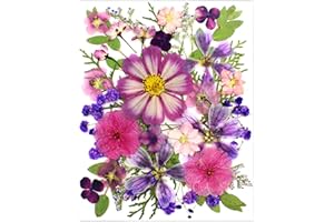 LUCISKY 35Pcs Purple Pressed Dried Flowers for Resin Molds, Real Natural Bulk Dry Floral Leave for DIY Art Crafts, Epoxy Jewelry, Candle, Soap Making, Nails Decors