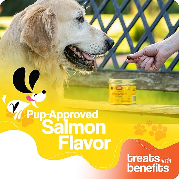 TREATS WITH BENEFITS DOG ALLERGY RELIEF – 8 IN 1 MULTIVITAMIN DOG CHEWABLES FOR SENIOR DOGS ALLERGIES – ANTIOXIDANT SUPERFOOD PET VITAMINS FOR DIGESTION, HIP, JOINT, HEART, BRAIN HEALTH, 90 SOFT CHEWS