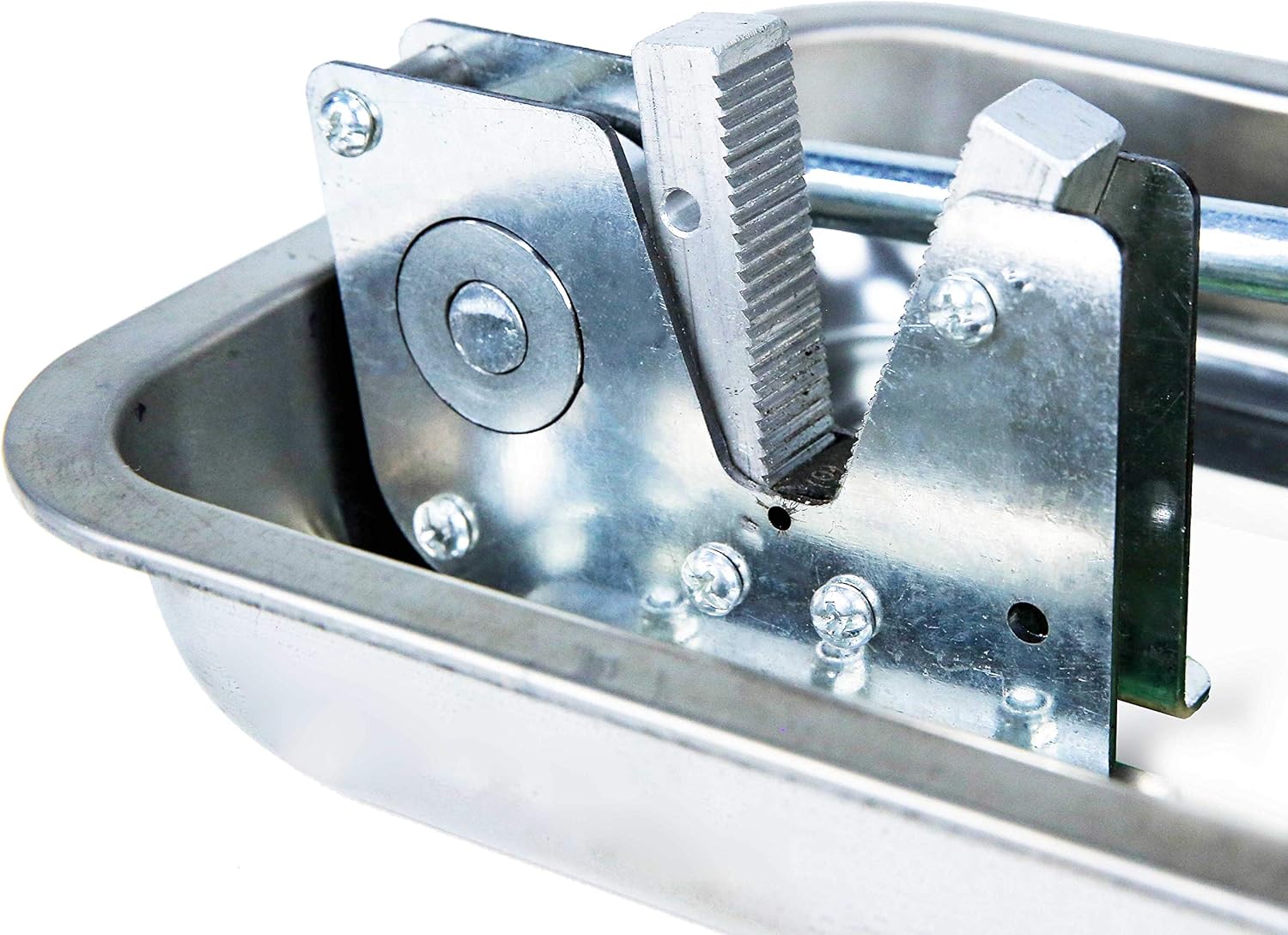 Mechanical Heavy Duty Nut Cracker Walnut Pecan Hazelnut Sheller with Storage Tray by inDomit: Kitchen & Dining