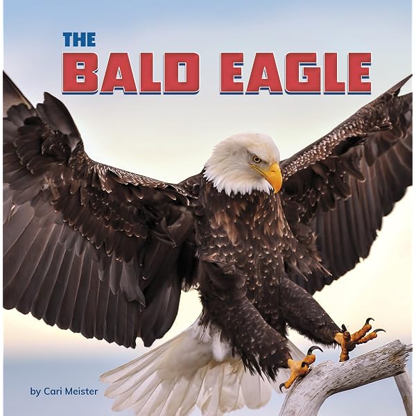The Bald Eagle (Symbols of America): Meister, Cari: 9798875248139