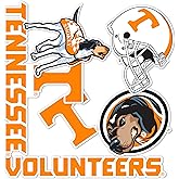 Desert Cactus University of Tennessee Sticker UT Knoxville Volunteers Vols Sticker Vinyl Decals Laptop Water Bottle Car Scrapbook Sheet T2 (Type 2)