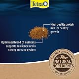 Tetra Prima Fish Food Mini Granules 100 ml Complete Food for Small Fish view 5