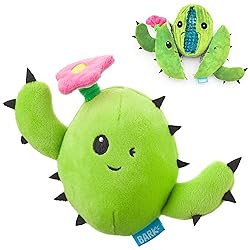 Barkbox 2 in 1 Interactive Plush Dog Toy - Rip and