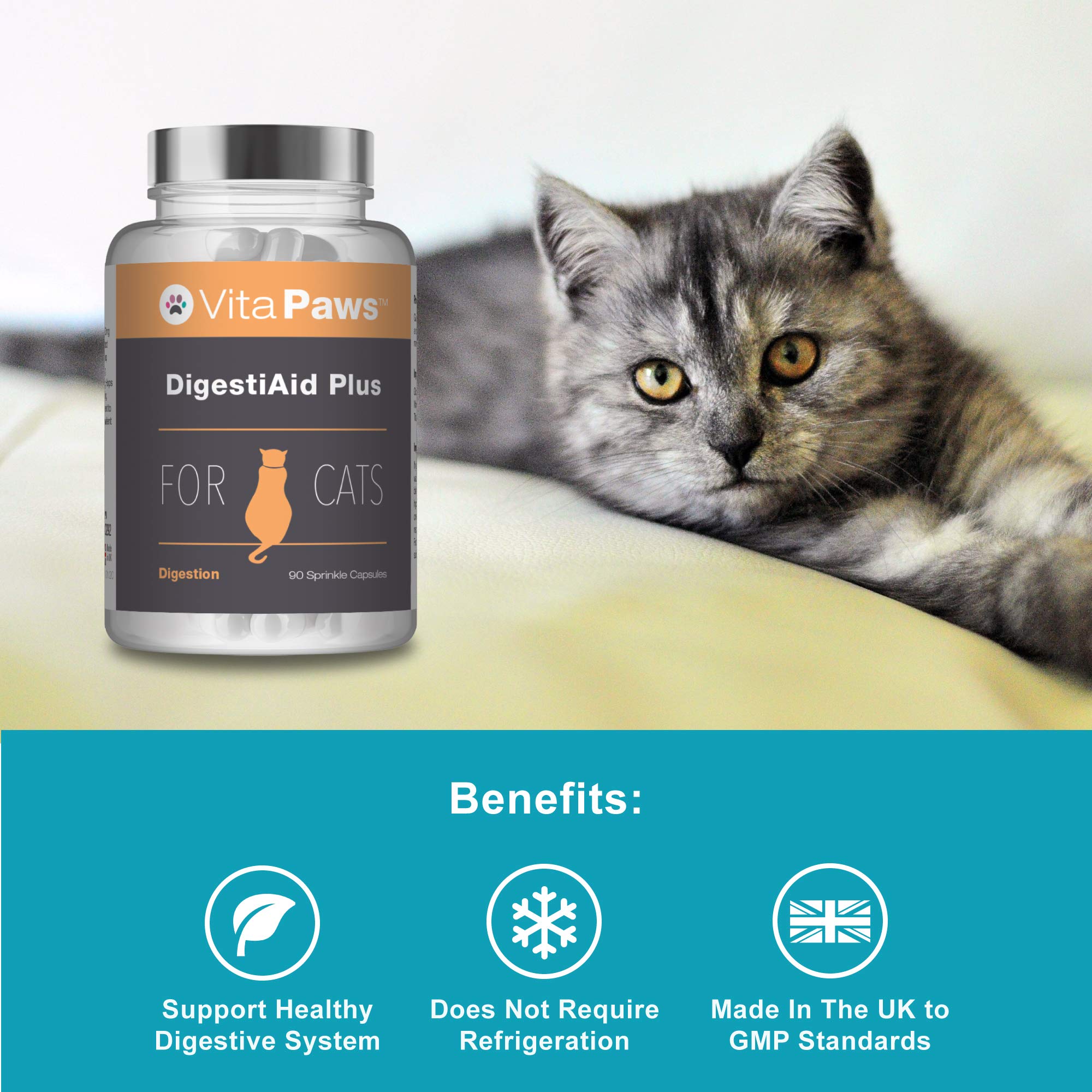 Probiotics for Cats DigestiAid Offers Friendly Bacillus Coagulans