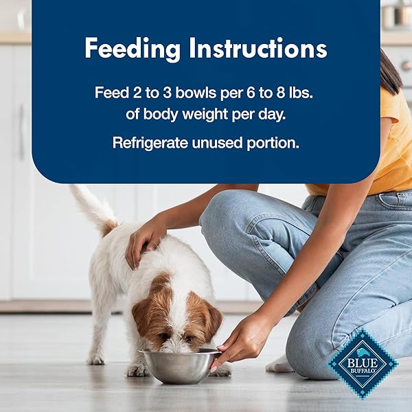 BLUE BUFFALO DELIGHTS NATURAL ADULT SMALL BREED WET DOG FOOD, VARIETY PACK, MADE WITH NATURAL INGREDIENTS, FILET MIGNON & NEW YORK STRIP RECIPE IN HEARTY GRAVY, 3.5-OZ. CUPS (12 COUNT, 6 OF EACH)