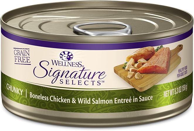 amazon wellness cat food