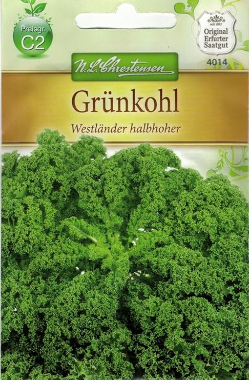 Chrestensen Grünkohl Halbhoher grüner krauser Garten Gemüse