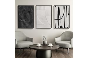 CUSPIN VAN GOGH ART Framed Black and White Abstract Canvas Wall Art, 3 Piece Modern Prints, Living Room Home Office Decor - Total Size 30x60 Inch