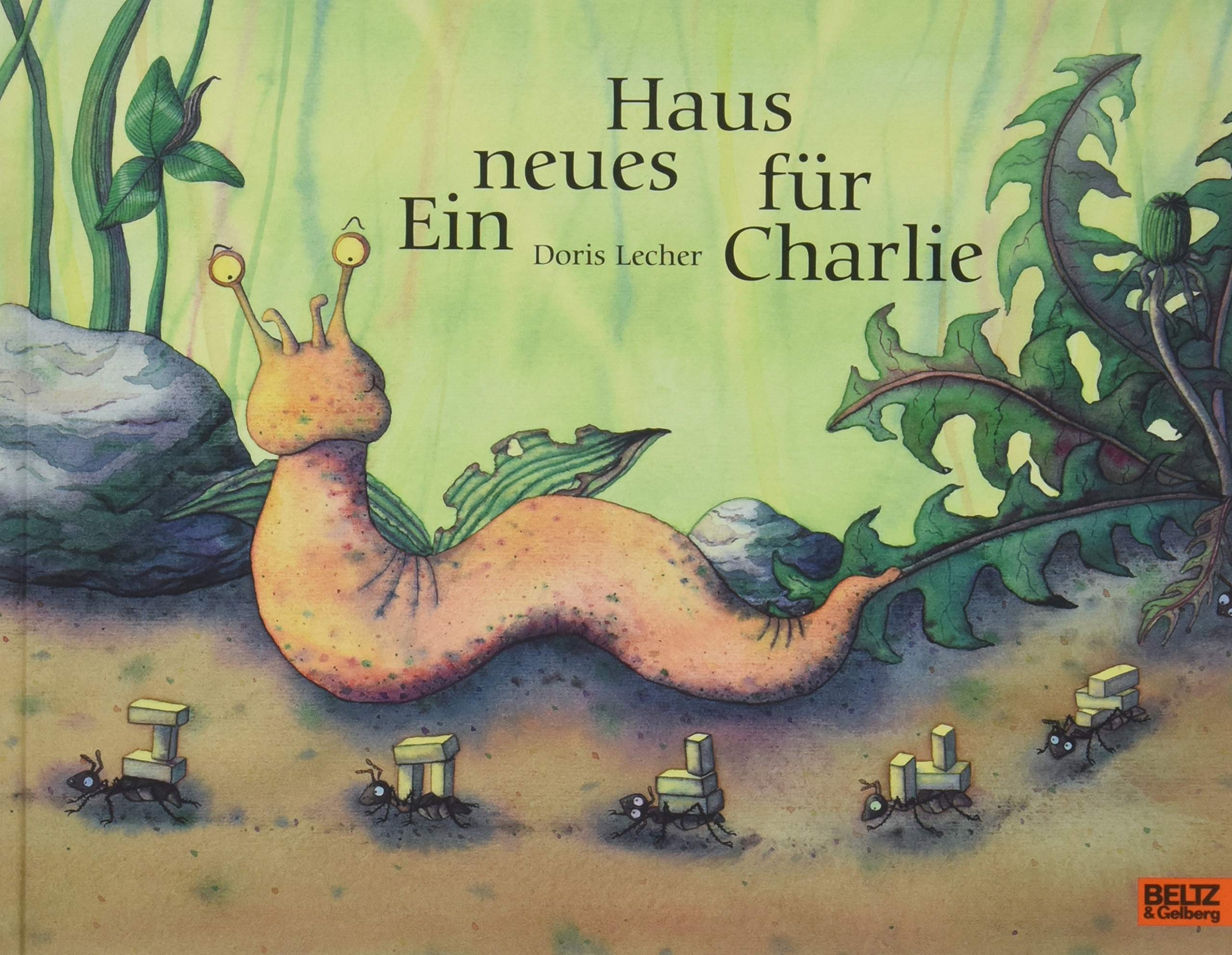 Ein Neues Haus Fur Charlie Amazon De Doris Lecher Bucher