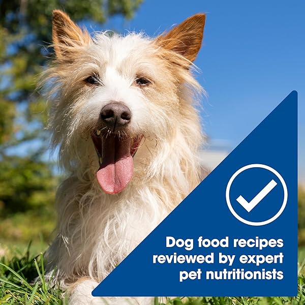 NATURE’S RECIPE CHICKEN, SALMON AND TURKEY RECIPES VARIETY PACK WET DOG FOOD, 12-2.75 OZ. CUPS, 2 COUNT