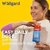 Wellgard Vegan High Fibre Gummies High Strength Fibre B6 B12 Biotin Folic UK view 6