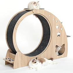 5-in-1 Cat Wheel,Cat Exercise Wheel,41.3" High