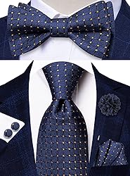 Hi-Tie Navy Gold Plaid Ties and Self-tied Bowtie