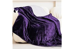 Alomidds Weighted Blanket for Adult Queen Size 20lbs 60 x 80 inches,Weighted Blankets with Soft Plush Fleece,Fluffy Thick Warm Sherpa & Cozy Flannel Heavy Blanket for Sofa Bed,Purple
