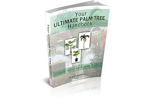 Your Ultimate Palm Tree Handbook: Create a Paradise with Palms