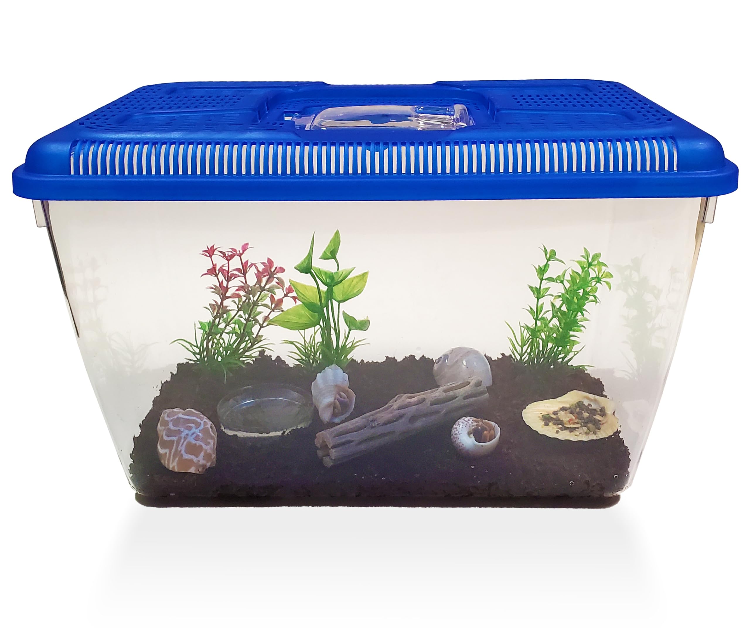 Live Hermit Crab Complete Starter Kit - Includes 2 Live Crabs - All-in-One Kit with Terrarium, Food, Coconut Fiber, and More - Bundle