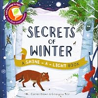Wonders Of The USA (Shine-a-Light) - Carron Brown, Illustrated By Bee Johnson - Kane Miller Hardcover