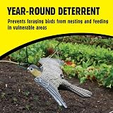 The Big Cheese Flying Falcon Decoy: Wind-Action Bird Deterrent 21in Wingspan view 3