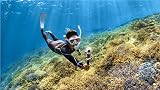 Insta360 X3 Invisible Dive Case with Dome Port for Clear 360 Underwater Shots view 8