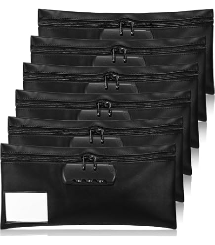 Amazon.com : LEIFIDE 6 Pcs Money Bag with Lock and Zipper 11 x 5.5
