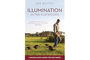 Illumination in the Flatwoods: A Season Living Among the Wild Turkey