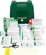 Safety First Aid Group Evolution Plus BS Small Workplace Kit Wall Mount