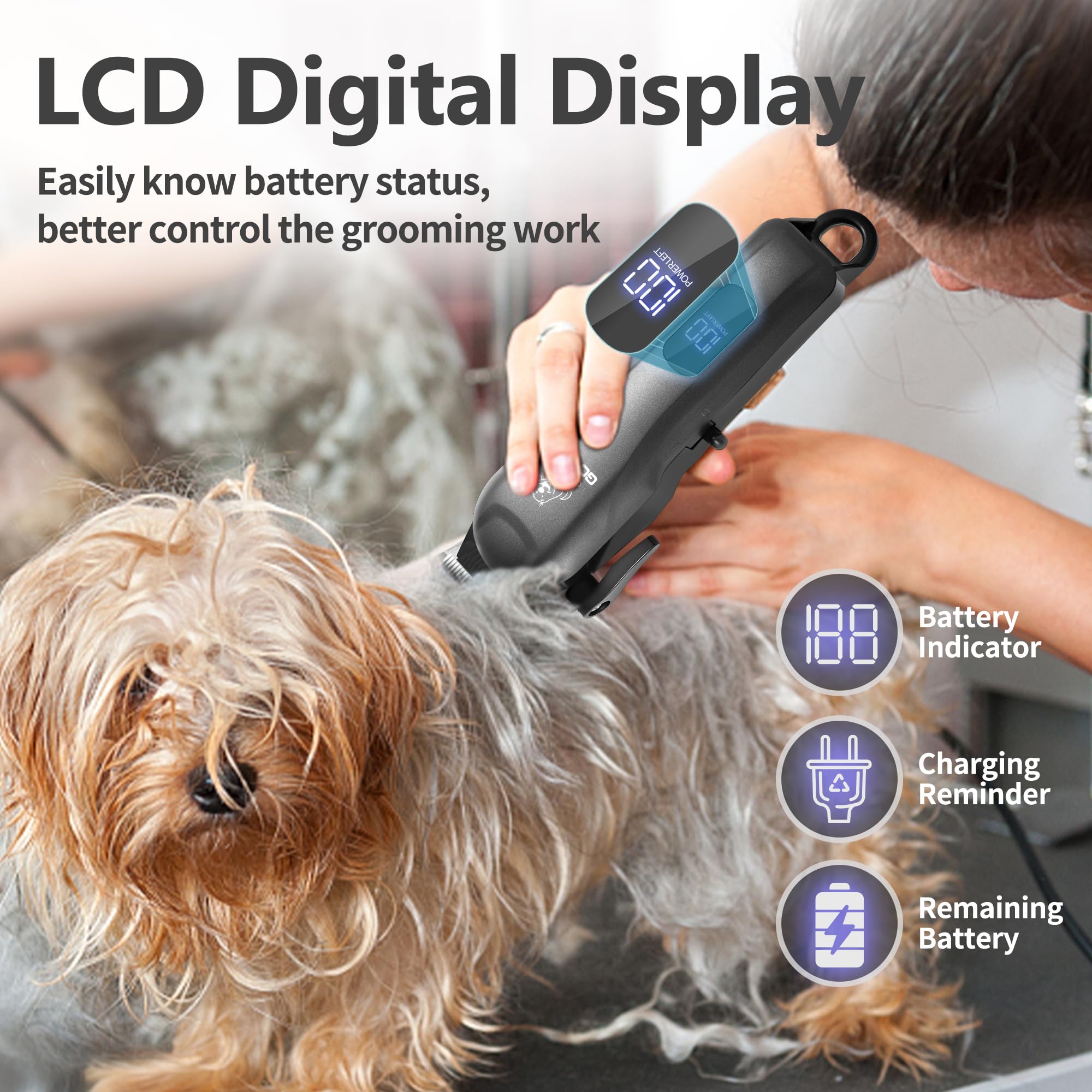 View 3