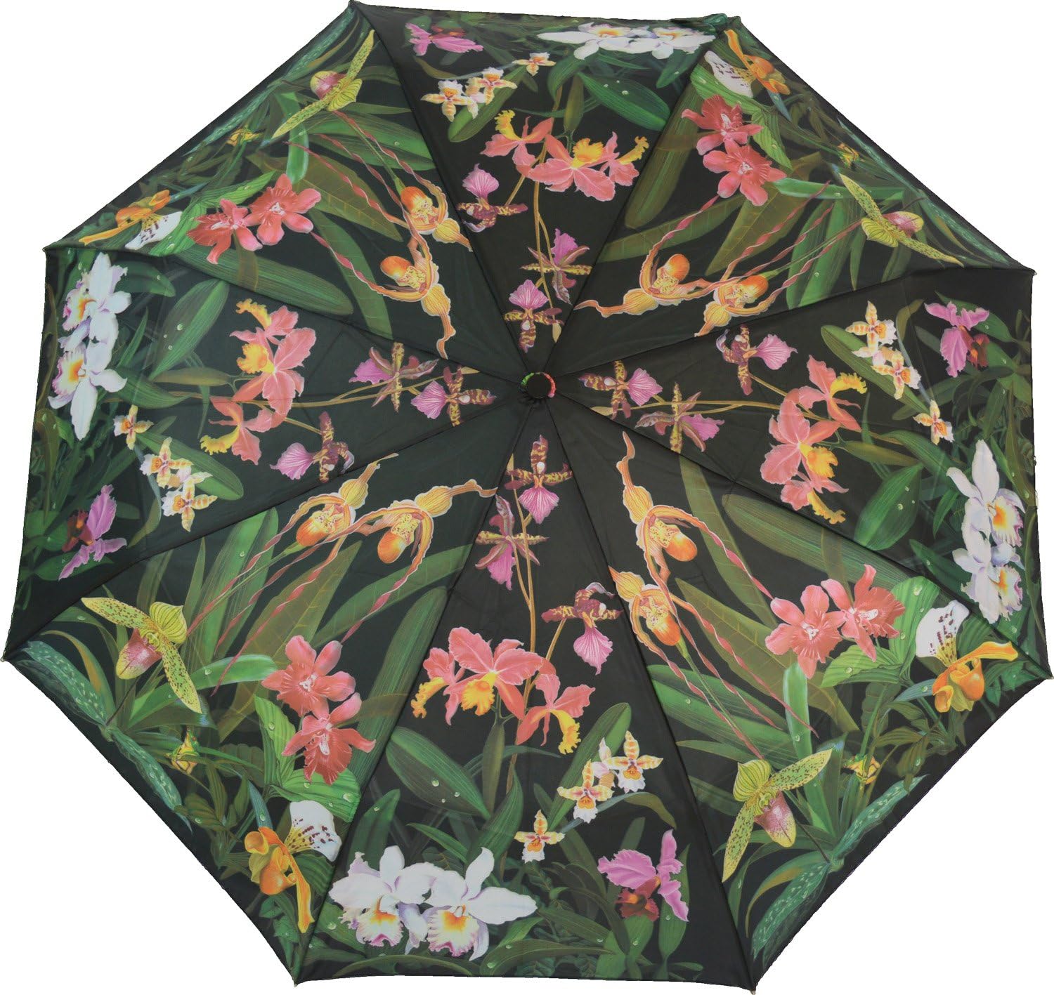 Artbrollies Orchid Folding Umbrella Amazon.co.uk Garden & Outdoors