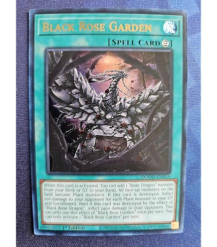 Amazon.com: Complete Custom Deck for Yu-Gi-Oh! 5D's