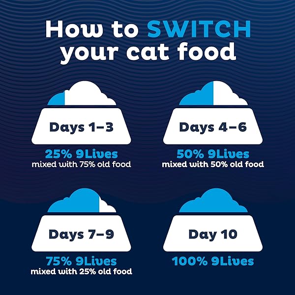 9LIVES INDOOR ESSENTIALS DRY CAT FOOD FOR ADULT CATS WITH CHICKEN & SALMON FLAVORS, 3.15 LB. BAG (PACK OF 4)