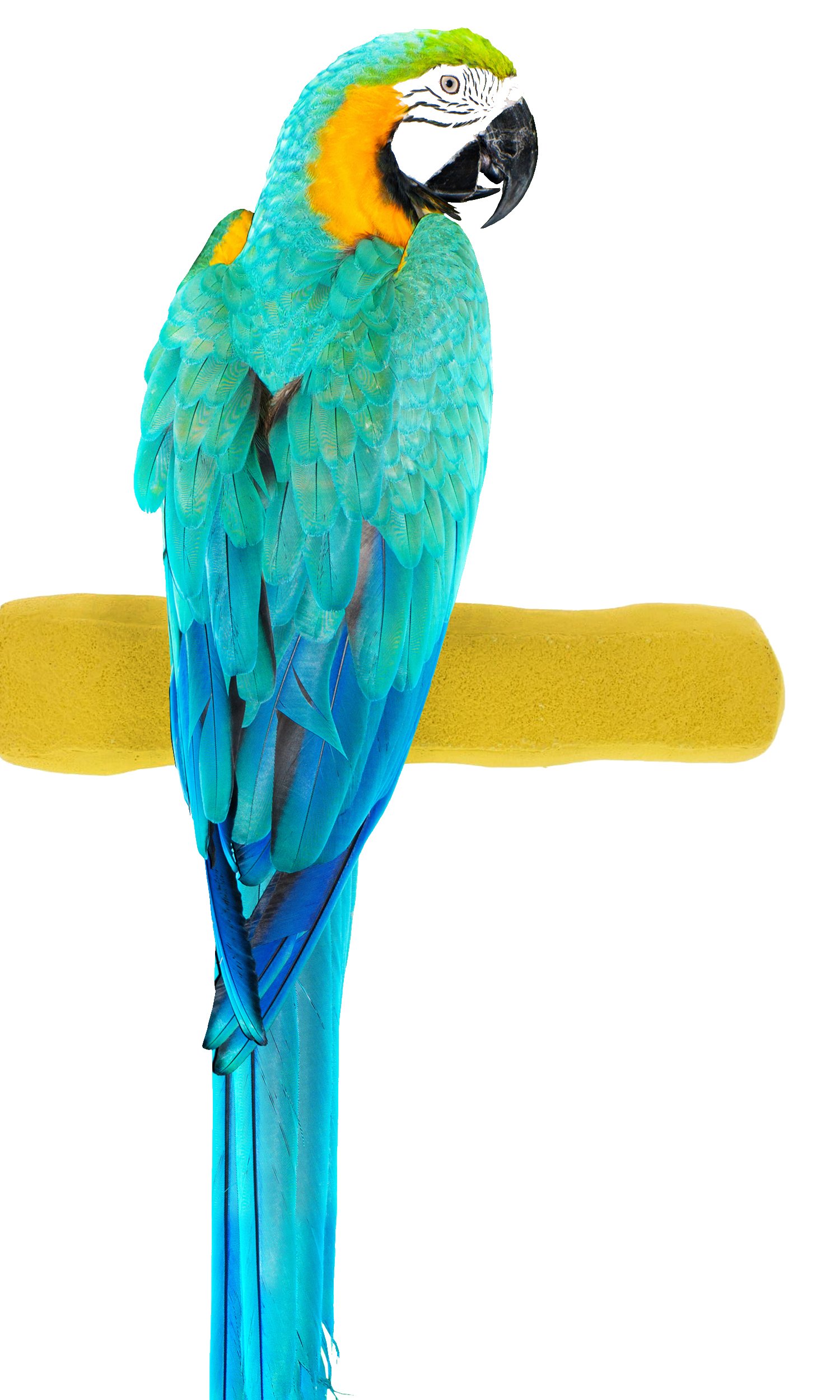 Sweet Feet and Beak Comfort Grip Safety Bird Pumice Perch - Patented Bird Perch Keeps Nails and Beak in Top Condition - Imitates Birds' Life in the Wild - Non-Toxic - Hangs Easily - X-Large - Yellow