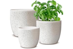 Hlukana Ceramic Plant Pots Set of 3, 5.5/4.9/3.8 inch Planters with Drainage Hole, Flower Pots Outdoor Indoor, Modern Decorative Plant Pot for Lilies, Cacti, Succulents, Snakes, Bamboo, Speckled White