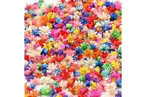 BZHYZKX 880 Pcs Small Dried Flowers for Resin - Include Tweezers, Colorful Real Natural Tiny Dried Pressed Flowers Bulk, Mini Dried Flowers for Crafts, DIY Jewelry, Resin Art, Candles, Soap Making