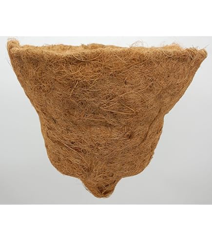 Amazon.com: Topiary Art Works Queen Elizabeth Parasol Hanging