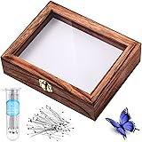 Insect Display Case Box Collection Box with Clear